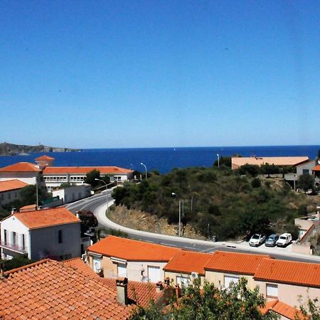 Appartement Avec Grande Terrasse Vue Sur Mer 滨海巴纽尔斯 外观 照片